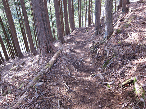 20190205hike (311)